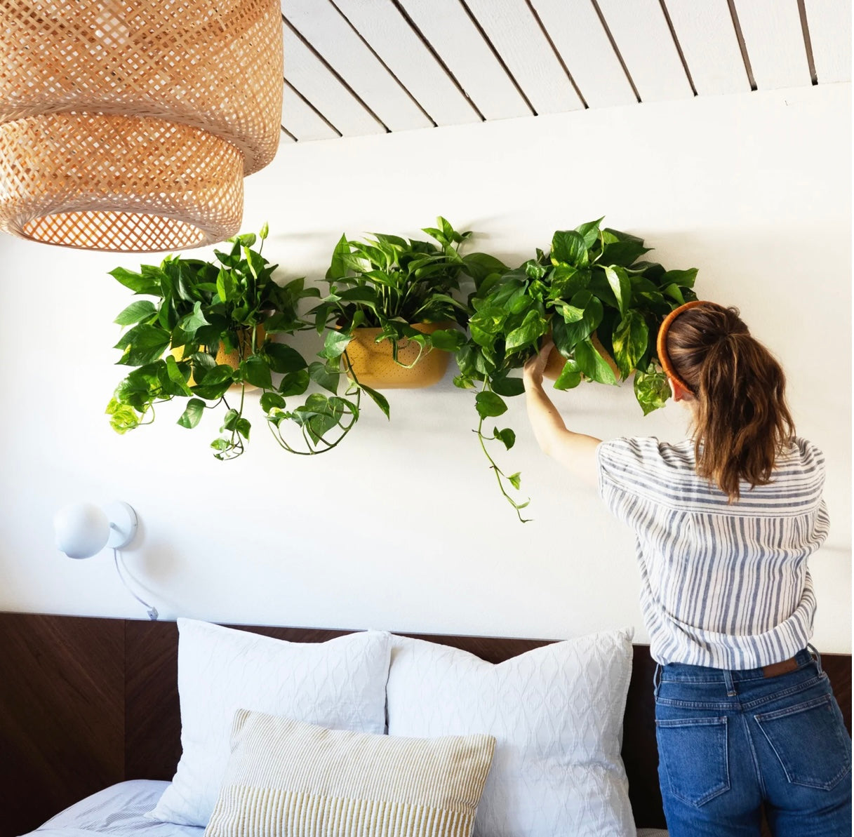 WallyGrow Eco Wall Planter - Mustard