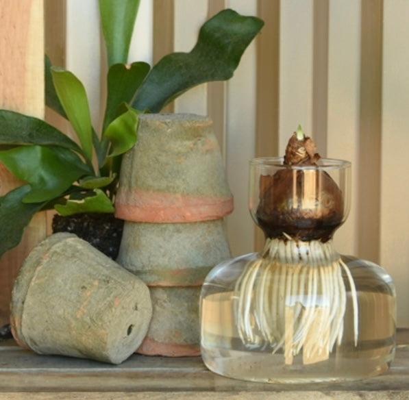 Wide Bottom Bulb Vase