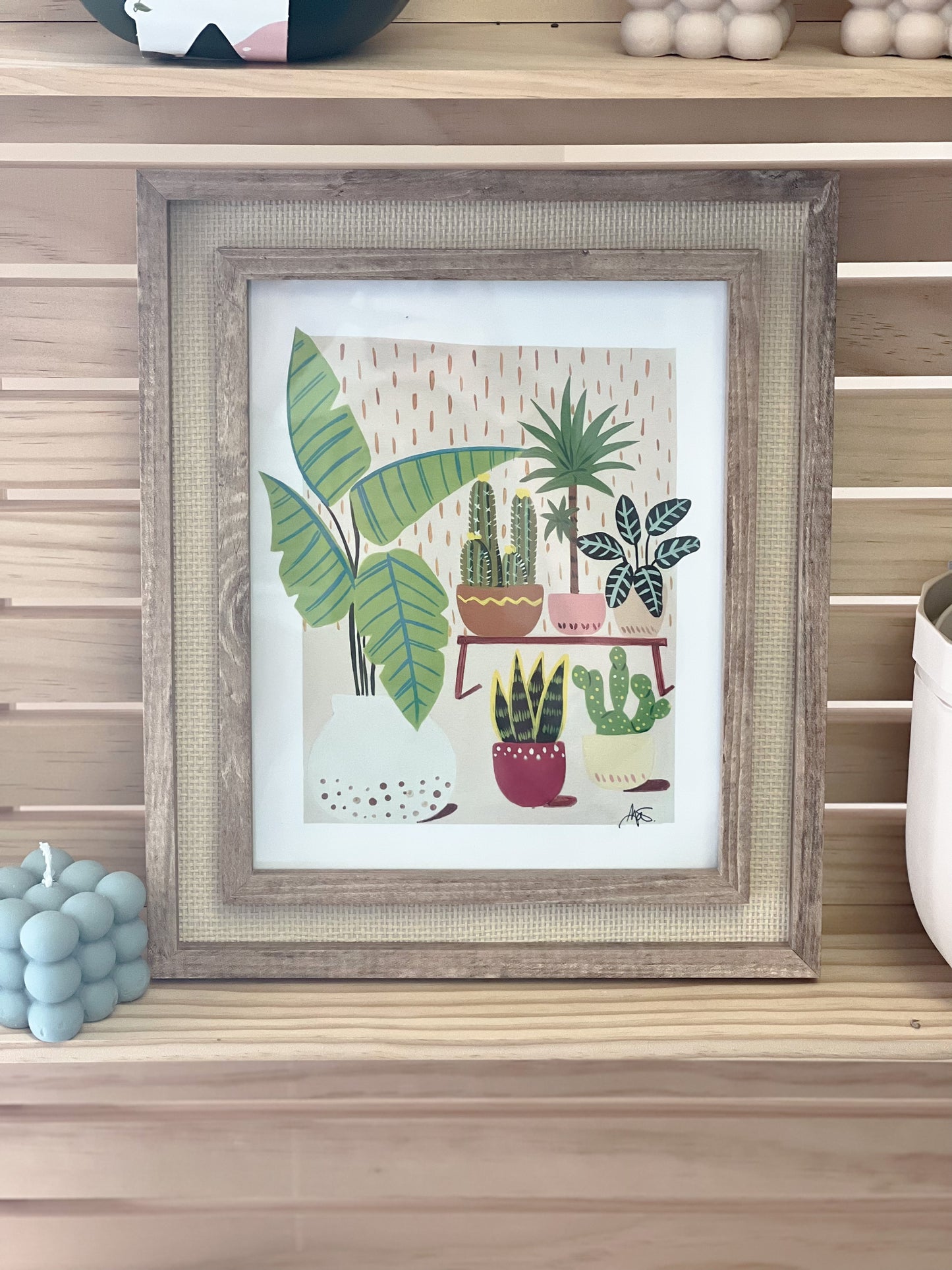 House Plants by Brenda Pniebles
