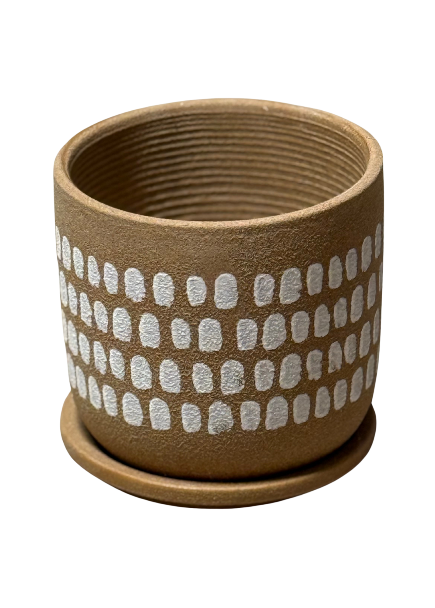 6” Terracotta Plant Pot