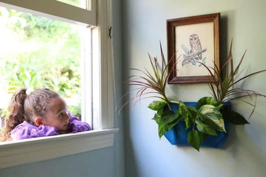 Wallygrow Pocket Planter - Royal Blue