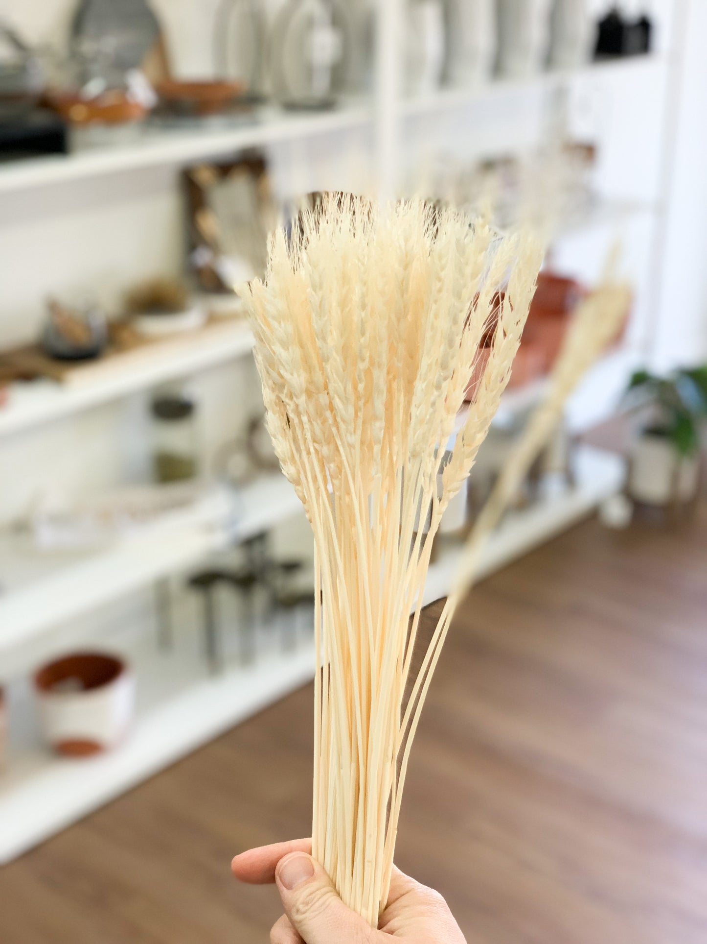 Dried Wheat Grass- White