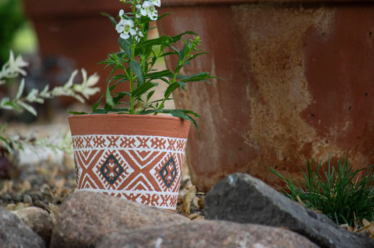 Cholla Terracotta Planter