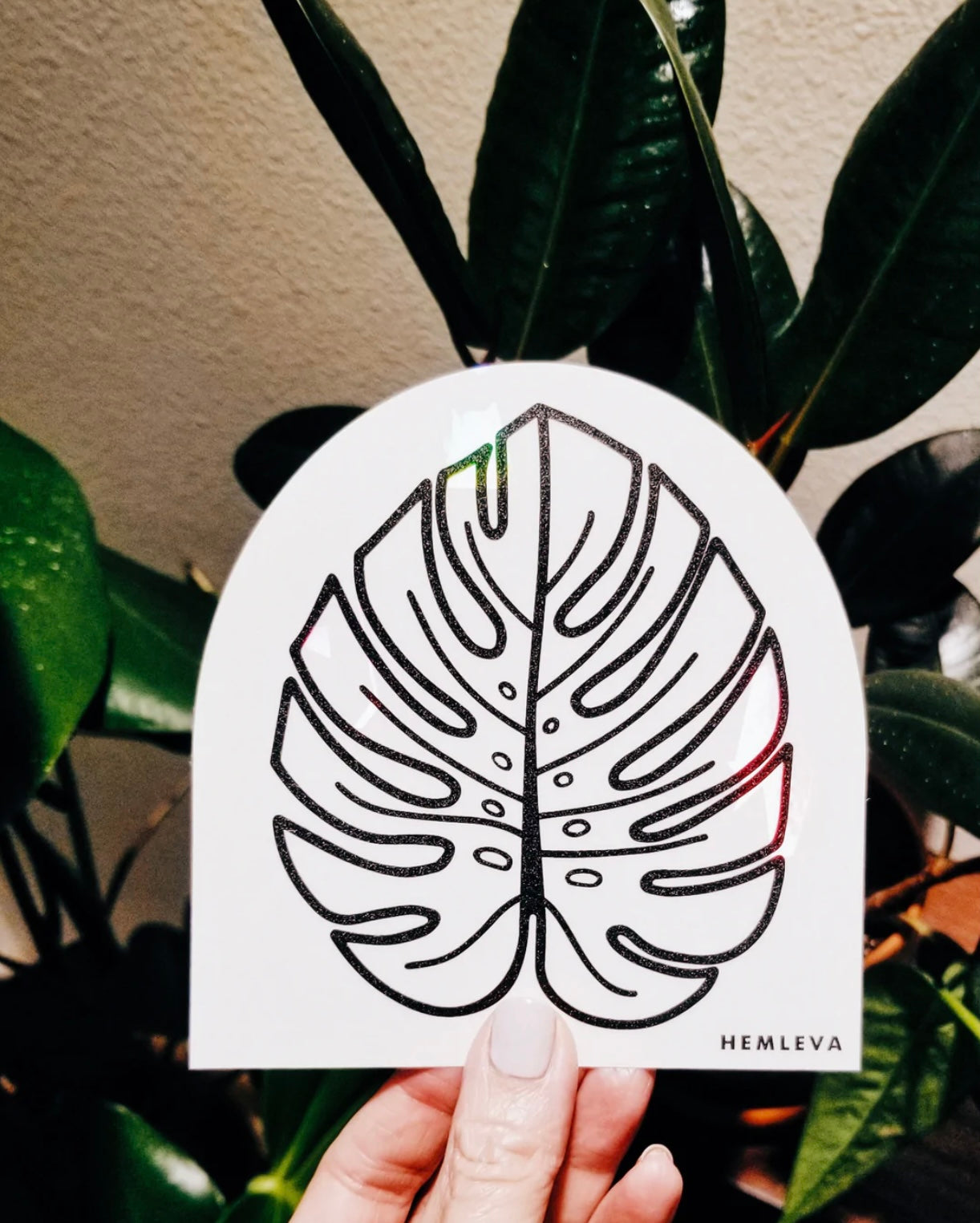 Monstera Suncatcher - HEMLEVA