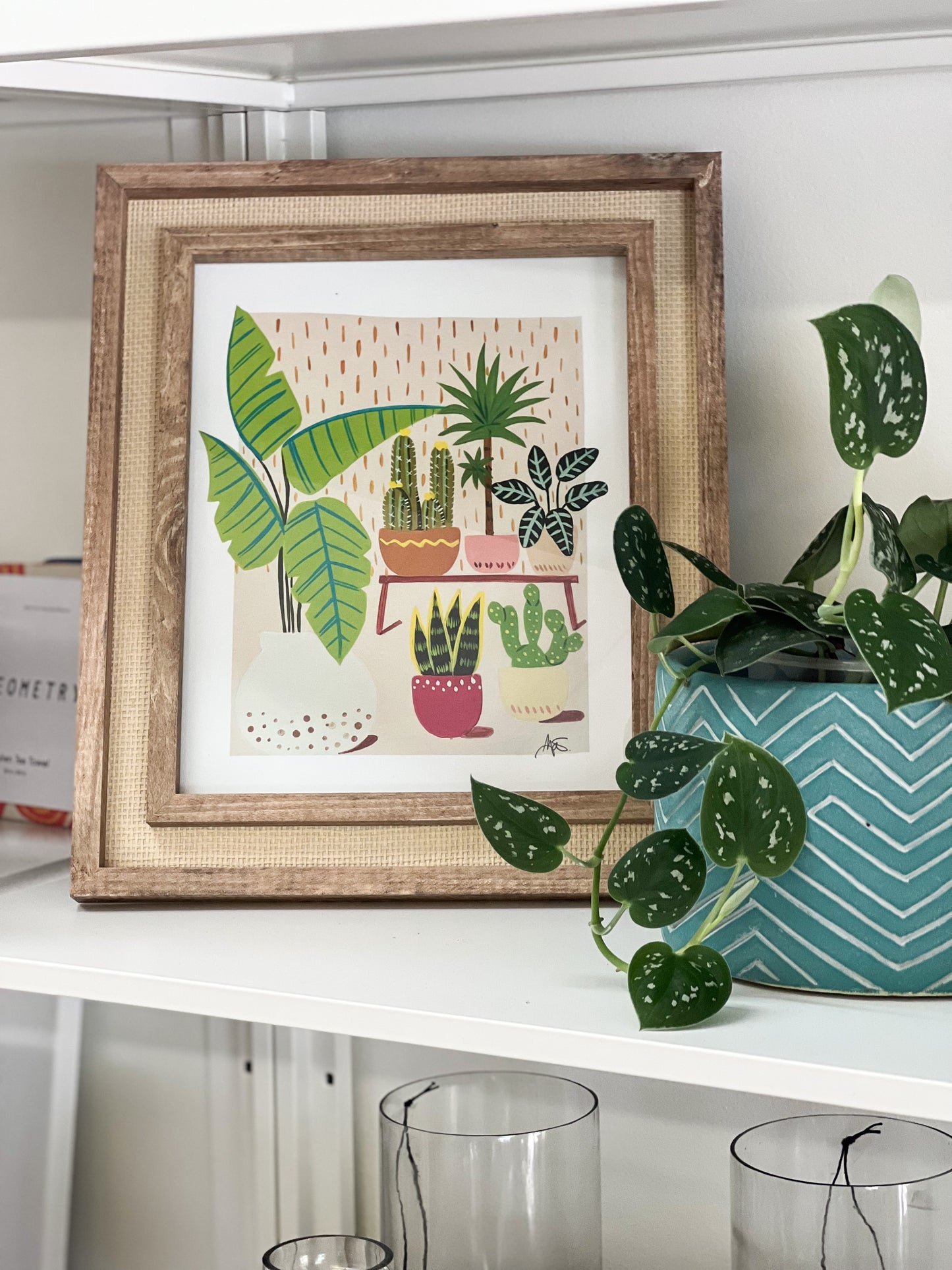 House Plants by Brenda Pniebles