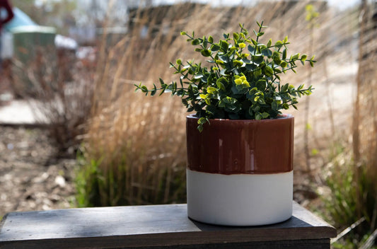 Mallory Planter