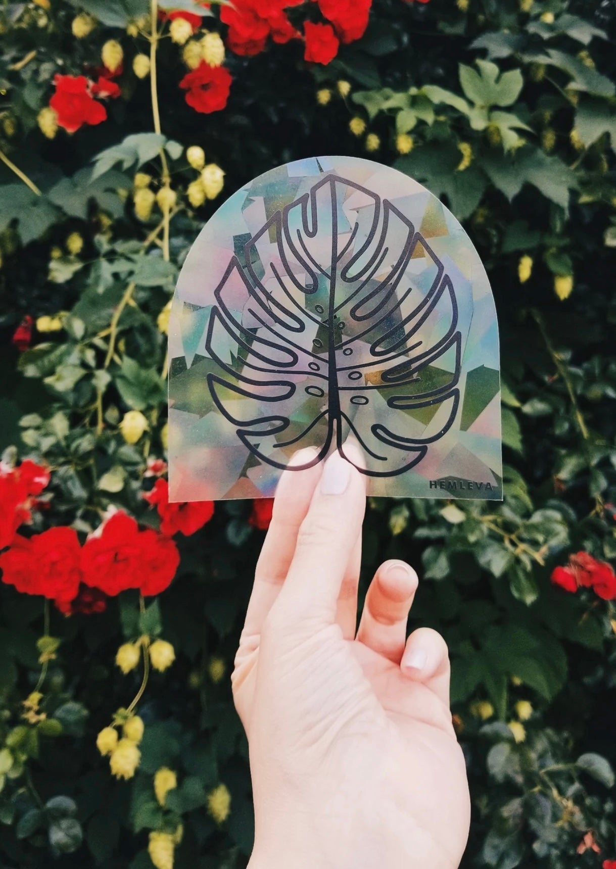 Monstera Suncatcher - HEMLEVA