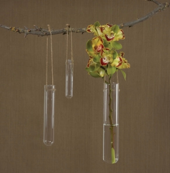 Hanging Glass Test Tube