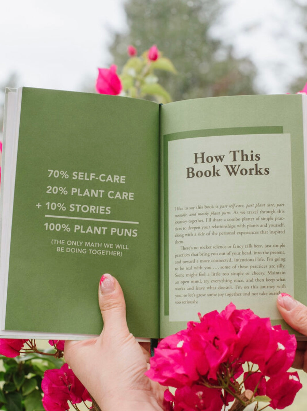 Growing Joy: The Plant Lovers Guide to Cultivating Happiness (and plants)